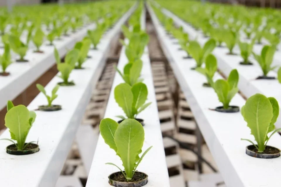 Why Video is Essential for Conversion Rate Optimisation in the Agritech Market thumbnail